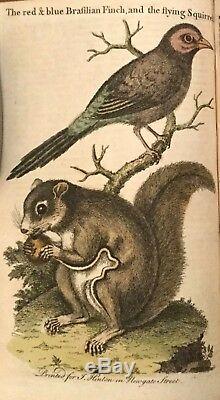 1753 Universal Magazine Rare Engravings Birds Orrery Trees Lizard Hamlet Diving