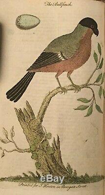 1753 Universal Magazine Rare Engravings Birds Orrery Trees Lizard Hamlet Diving