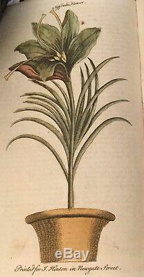 1753 Universal Magazine Rare Engravings Birds Orrery Trees Lizard Hamlet Diving
