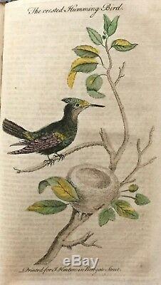 1754 UNIVERSAL MAGAZINE RARE ENGRAVINGS BIRDS PLANT COFFEE POPPY HUMMINGBIRD &c