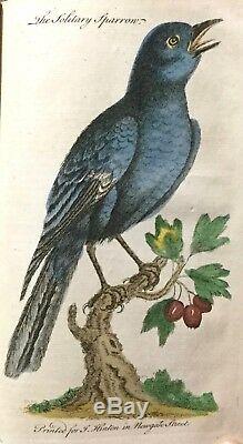 1754 UNIVERSAL MAGAZINE RARE ENGRAVINGS BIRDS PLANT COFFEE POPPY HUMMINGBIRD &c