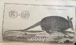 1768 Gentleman's Magazine Stamp Act Benjamin Franklin John Hancock Armadillo