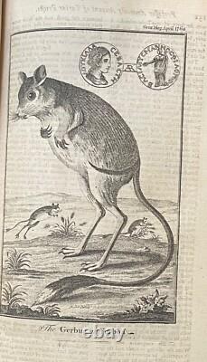 1768 Gentleman's Magazine Stamp Act Benjamin Franklin John Hancock Armadillo