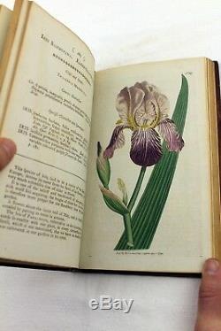 1792 volumes 5 & 6 Curtis Botanical Magazine 72 Hand Coloured Flower Plates