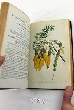 1792 volumes 5 & 6 Curtis Botanical Magazine 72 Hand Coloured Flower Plates
