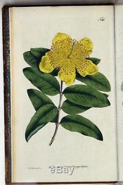 1792 volumes 5 & 6 Curtis Botanical Magazine 72 Hand Coloured Flower Plates