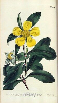 1799 Curtis Botanical Magazine 36 Hand Coloured Flower Plates Complete Volume 13