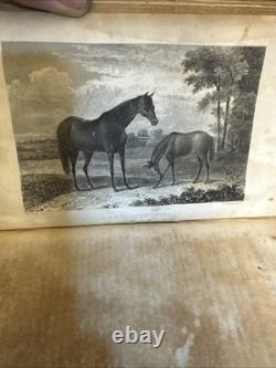 1832 AMERICAN TURF REGISTER Vol 3 J. S. Skinner Thoroughbred Bloodlines Map