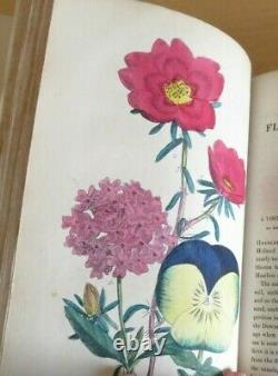 1840 Floricultural Cabinet & Florists Magazine 13 Col Plts Flora Fauna 1st Ed