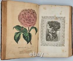 1st edition 1844-The Ladies Garland and family magazine. W full color engravings