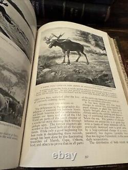 6 Antique 1916/17/18 NATIONAL GEOGRAPHIC MAGAZINE -Partial Leather -Illustrated