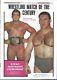 Bruno Sammartino Wrestling Magazine Lot Of 10 Very Rare Unsigned Magazines