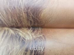 Cavalier October 1973 Vol 23 No 12 Stephen King Gray Matter Vaughn Bode Erotica