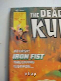 Deadly Hands of Kung Fu #19 1975 1st White Tiger App Iron Fist Cover Marvel