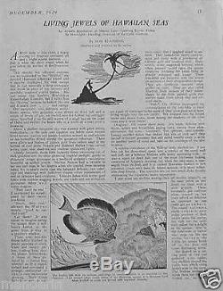 Dec 1929Travel MagazineLIVING JEWELS of HAWAIIAN SEASDON BLANDING'sHawaii