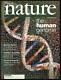 Rare Nature Magazine Human Genome Foldout February 2001 Vol 409 Issue 6822