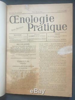 Rare 1908-1910 French Oenology Magazine Wine Making Grape Cultivating 32 Issues