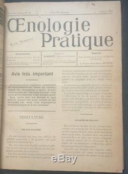 Rare 1908-1910 French Oenology Magazine Wine Making Grape Cultivating 32 Issues