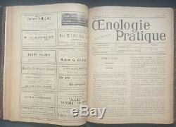 Rare 1908-1910 French Oenology Magazine Wine Making Grape Cultivating 32 Issues