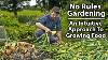 The No Rules Vegetable Gardening Method 9 Key Lessons From A Year Of Growing Intuitively