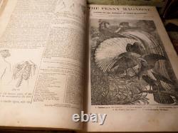 The Penny Magazine of the Society for the Diffusion of Useful Knowledge 1833 1ST