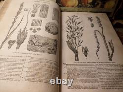 The Penny Magazine of the Society for the Diffusion of Useful Knowledge 1833 1ST