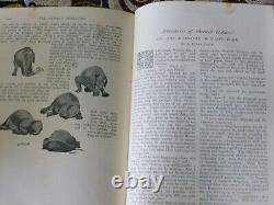 The Strand Magazine Sherlock Holmes 1st Edition Antique Hardback Volume IV 1892