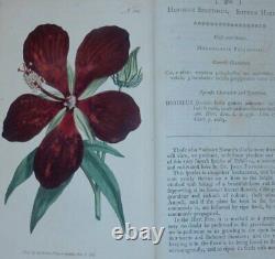 William Curtis / Botanical Magazine or Flower-Garden Displayed In which 1st 1796