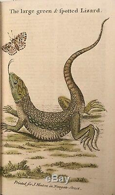 1753 Magazine Universal Rare Birds Gravures Orrery Arbres Lizard Hamlet Plongée Sous-marine