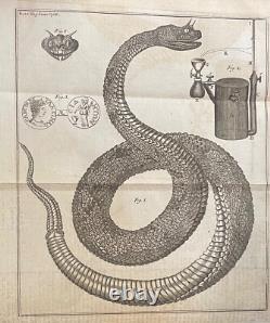 1768 Magazine des Gentilshommes Loi sur le timbre Benjamin Franklin John Hancock Tatou