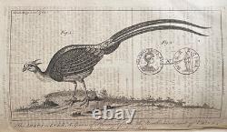 1768 Magazine des Gentilshommes Loi sur le timbre Benjamin Franklin John Hancock Tatou