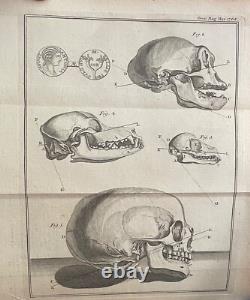 1768 Magazine des Gentilshommes Loi sur le timbre Benjamin Franklin John Hancock Tatou