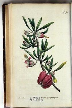 1792 Volumes 5 Et 6 Curtis Botanical Magazine 72 Colorisée Fleur Plaques