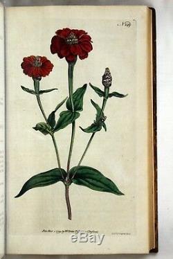 1792 Volumes 5 Et 6 Curtis Botanical Magazine 72 Colorisée Fleur Plaques