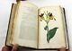 1799 Curtis Botanical Magazine 36 Assiettes En Forme De Fleurs Colorées À La Main Pour Compléter Le Volume 13
