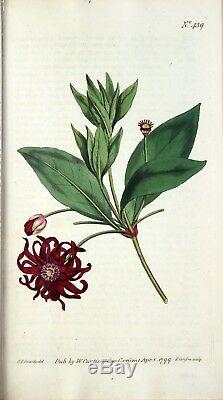 1799 Curtis Botanical Magazine 36 Assiettes En Forme De Fleurs Colorées À La Main Pour Compléter Le Volume 13
