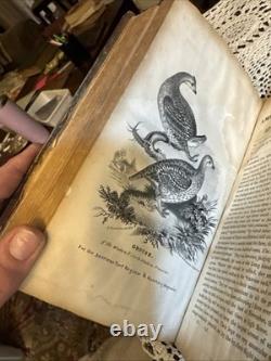1832 REGISTRE AMÉRICAIN DU TURF Vol. 3 J. S. Skinner Lignées pur-sang Carte