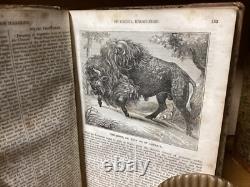 1834 1836 Magazine Américain Utile et Divertissant 1ère Édition Volumes I et II