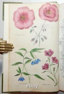 1835 Harrison CABINET FLORICULTURE & MAGAZINE DES FLORISTES 14 Planches en Couleur Vol 3