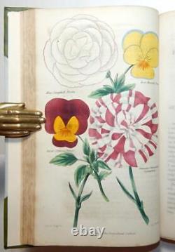 1835 Harrison CABINET FLORICULTURE & MAGAZINE DES FLORISTES 14 Planches en Couleur Vol 3