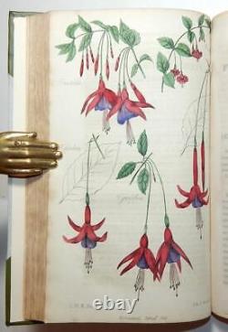 1835 Harrison CABINET FLORICULTURE & MAGAZINE DES FLORISTES 14 Planches en Couleur Vol 3