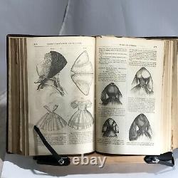 1863 Godeys Ladys Book And Magazine Amazing Fashion Illustrations