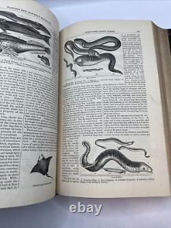 1866-1867 Magazine Mensuel de Harper XXXIV Vol. 34 Déc-Mai Mark Twain L2,4