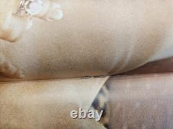 Cavalier Octobre 1973 Vol 23 No 12 Stephen King Matière Grise Vaughn Bode Érotique