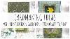 Création De Cartes Avec La Première Édition De Gardenia Trimcraft Mardi Mme Paperlover