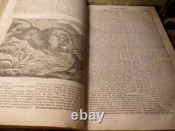 Le Penny Magazine de la Société pour la diffusion des connaissances utiles 1833 1re édition