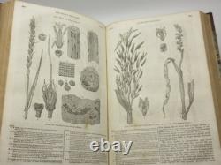 Le magazine de penny Vol I & II complet 1832/1833 1ère édition reliure en cuir