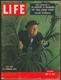 Life Magazine 13 Mai 1957 Champignons Magiques Gordon Wasson Maria Sabina & Bonus