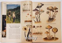Life Magazine 13 mai 1957 Champignons magiques Gordon Wasson Maria Sabina & Bonus