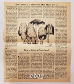 Life Magazine 13 mai 1957 Champignons magiques Gordon Wasson Maria Sabina & Bonus